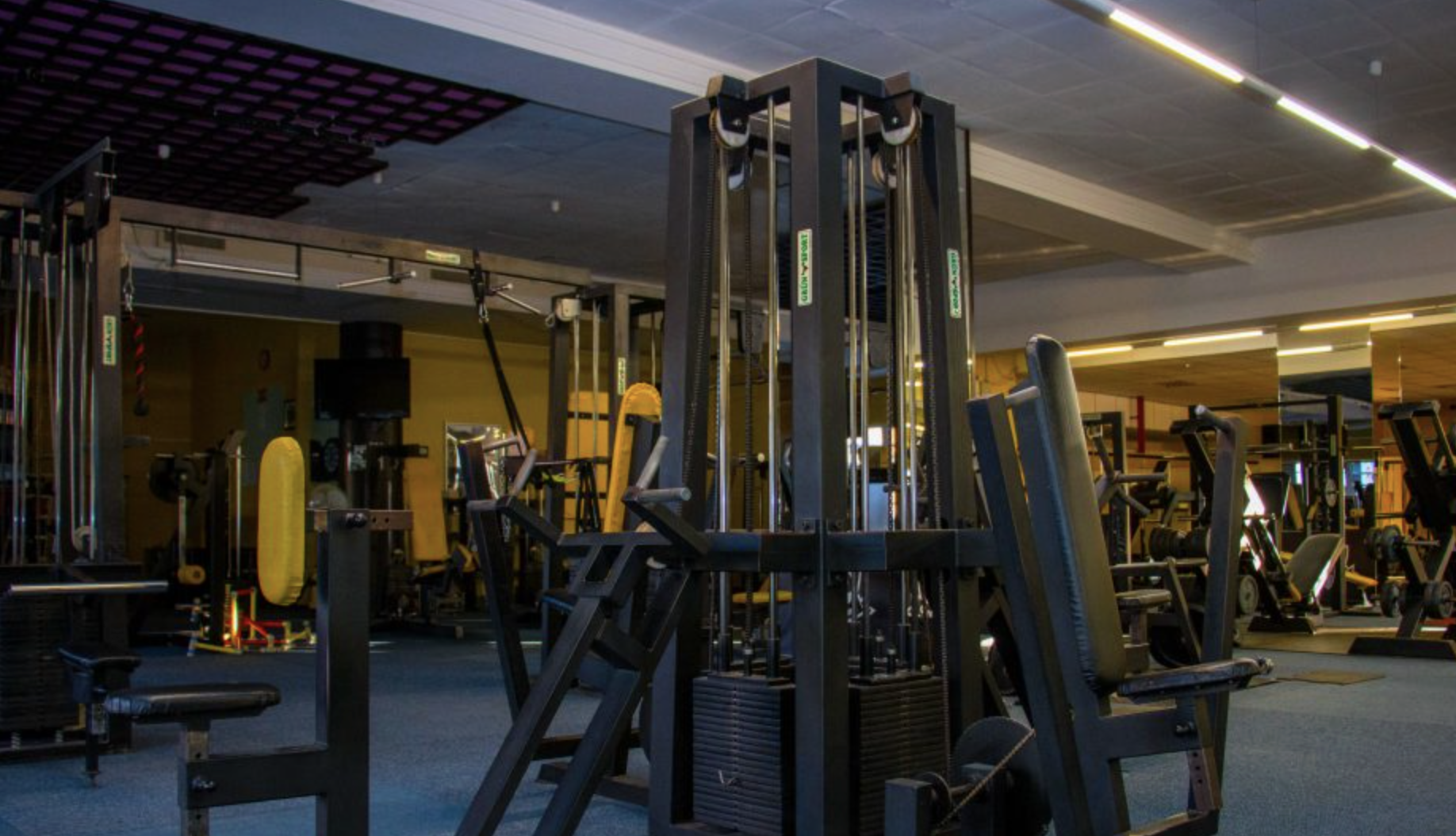 Gym Arena