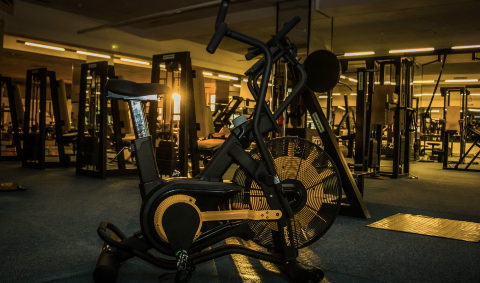 Gym Arena